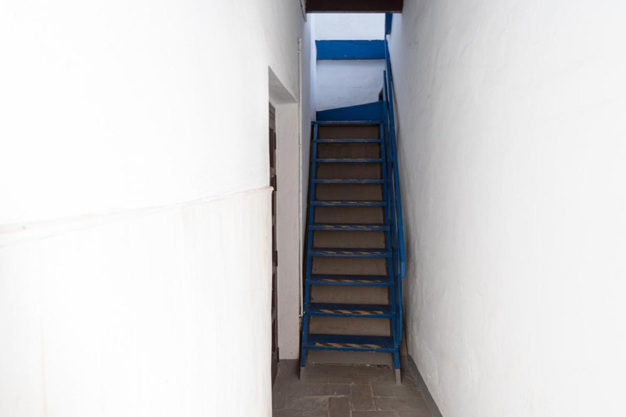 Apartment La Gitanilla Terrace Cádiz Eksteriør bilde